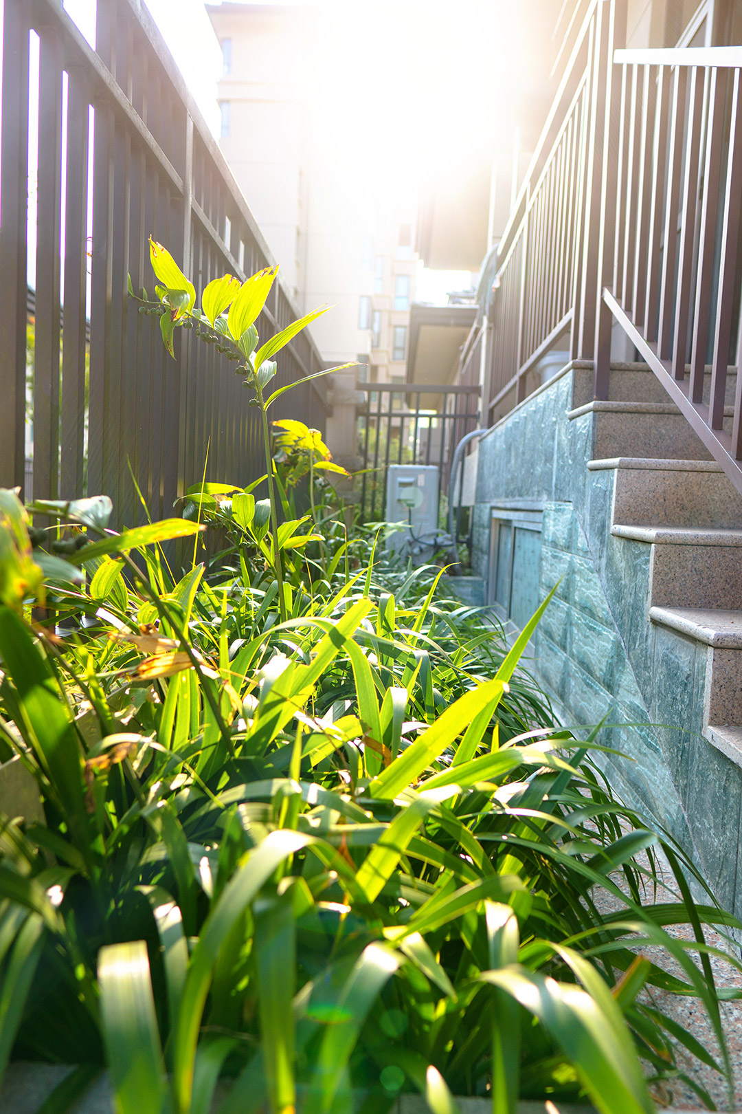 穆穆实拍照片-38