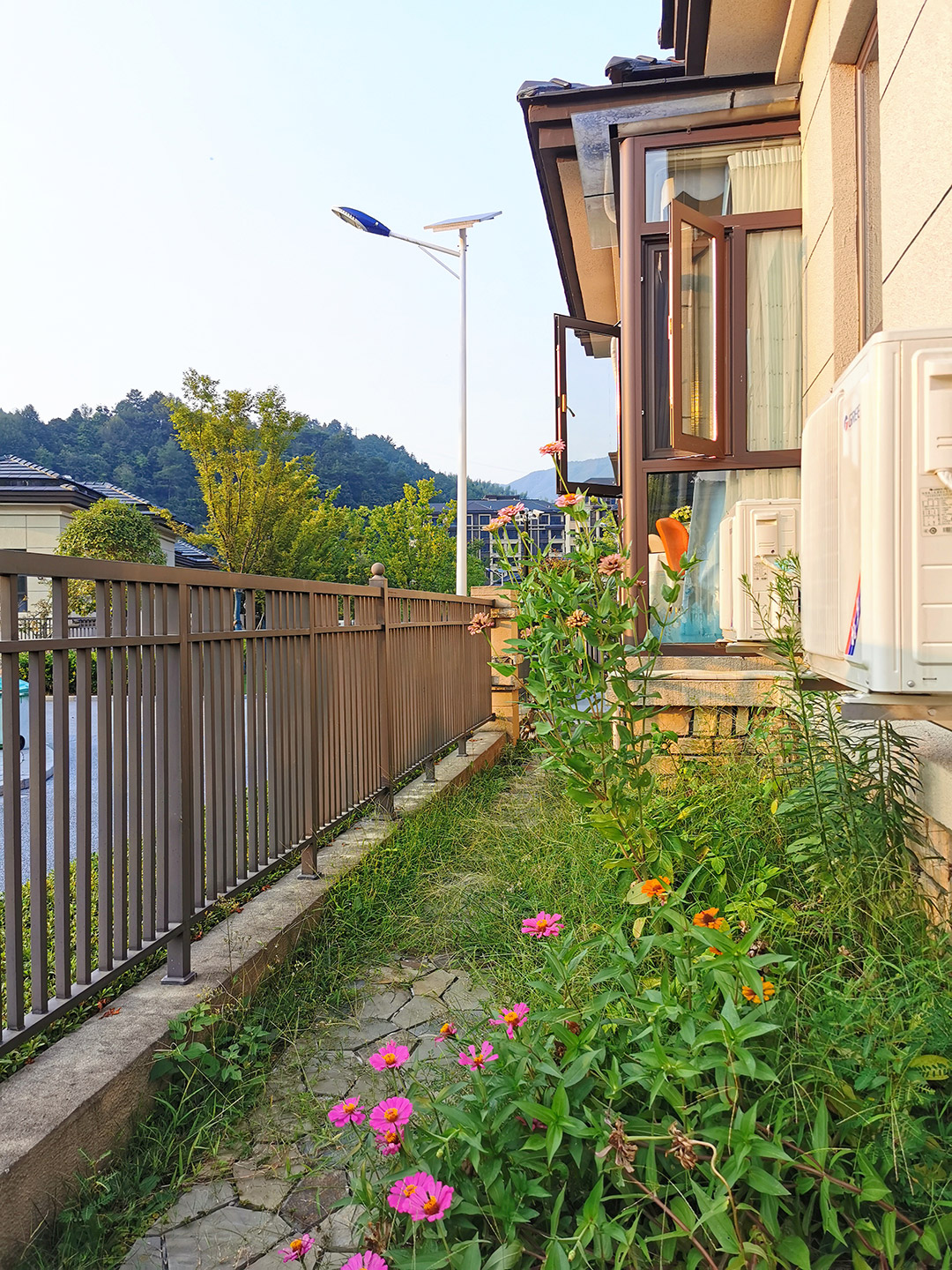 穆穆实拍照片-39