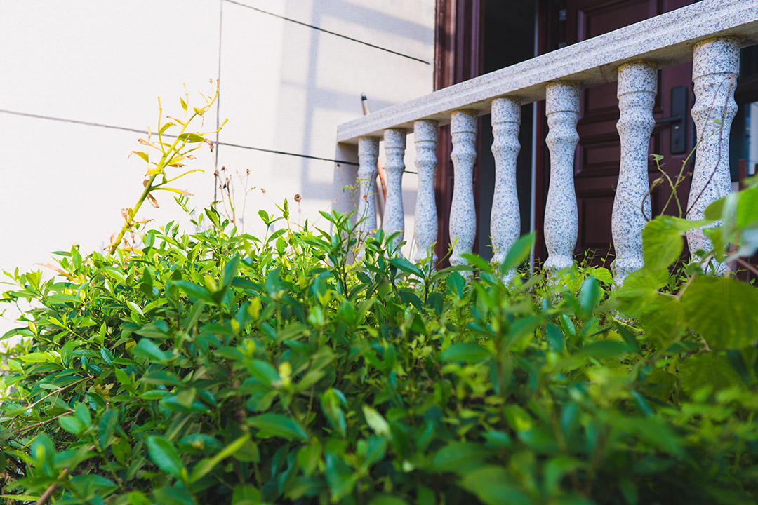 穆穆实拍照片-41