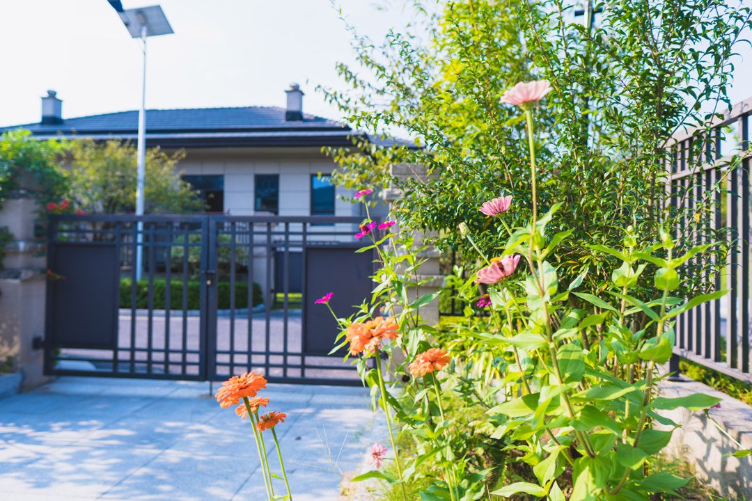 穆穆实拍照片-42