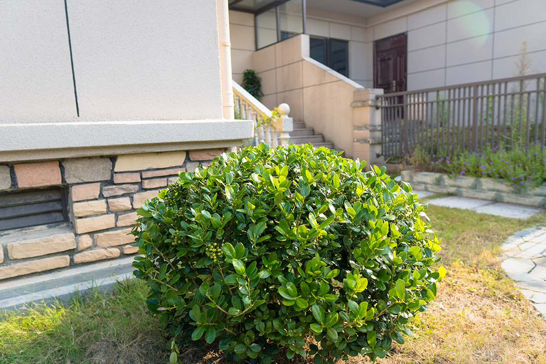 穆穆实拍照片-43