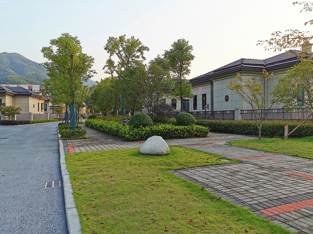 穆穆实拍照片-48